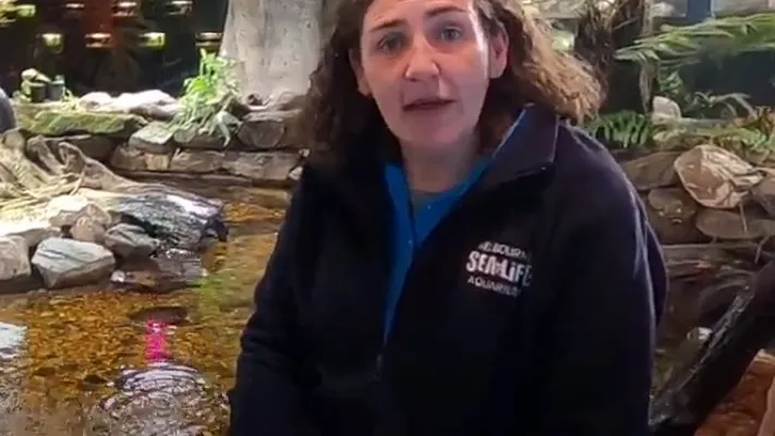 Freshwater Habitatsscreenshot