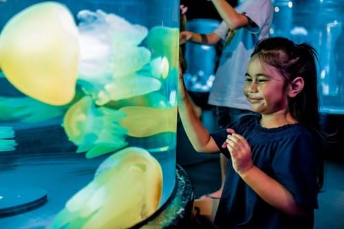 Girl Interacts With Display In Jellyfish Lullaby Exhibit At Sea Life Sydney Aquarium