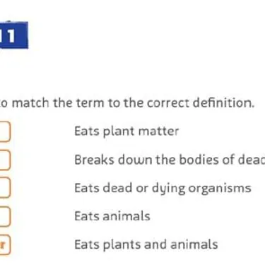 Slfood Web S4