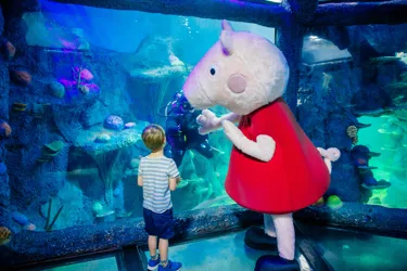 Peppapigsealifesydney