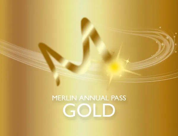 MAP Passes 700X500px NEWGOLD2