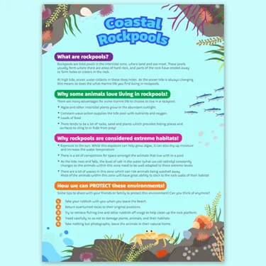 BTT 500 Costalrockpoolposter