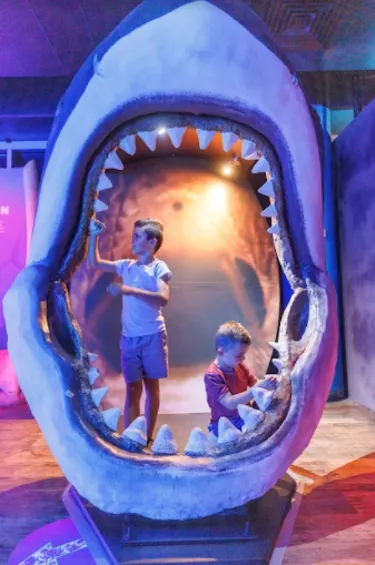 SLMA Dive Into The Deep 2