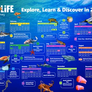 SLSA Calendar Screenshot