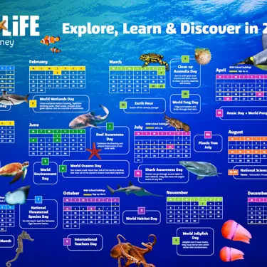 SLSA Calendar Screenshot