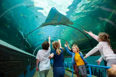 SEA LIFE