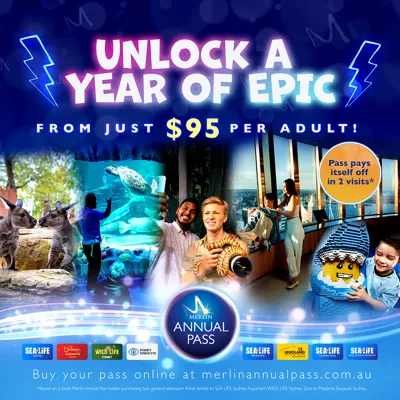 2025MAP KV Square 1080Px