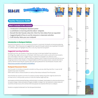 BTT 500 Teacherresource