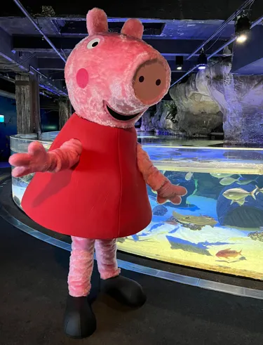 Photo 30 03 22, 10 52 32 Alt