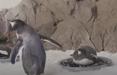 Screen Shot 2022 10 26 At 2.30.24 Pm