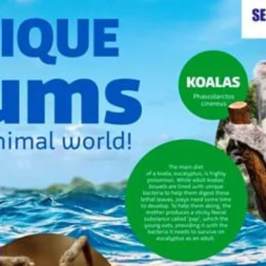 Unique Mums Of The Animal World