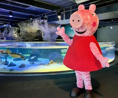 Photo 30 03 22, 10 50 56 Alt