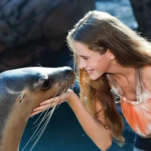 Seals Encounter