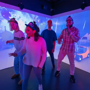 IGB Adults Angrybirds 4