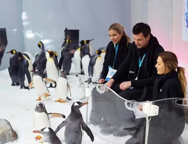 Penguin Passport (1)